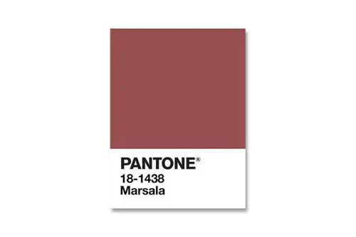 picture of pantone 公布 2015「年度流行色」- marsala 玛萨拉酒红