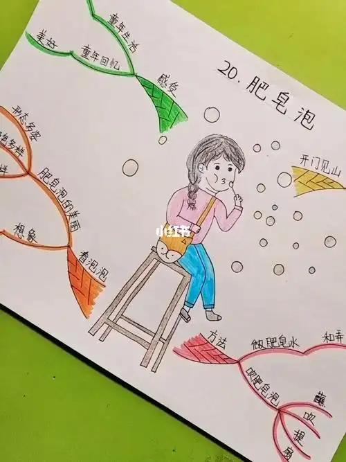 肥皂泡思维导图