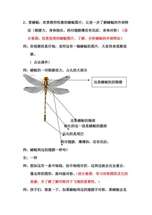 山东教育出版社小学美术二年级上册《蜻蜓飞飞》教学案例