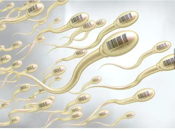 遗精和滑精的区别是什么