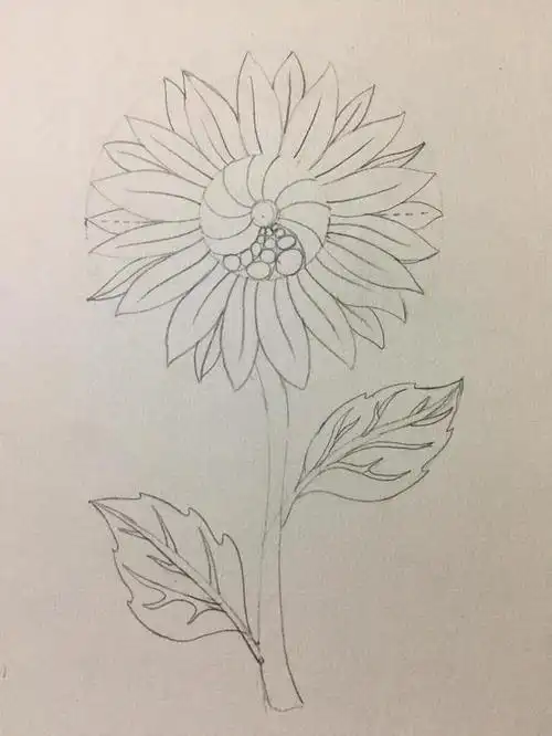 零基础学画画|简笔画练习"向日葵"(马克笔)