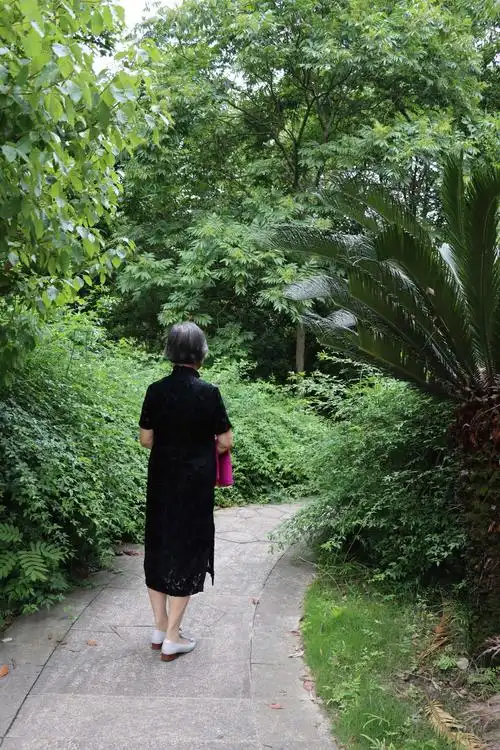 渐行渐远的旗袍背影也非常诱人!