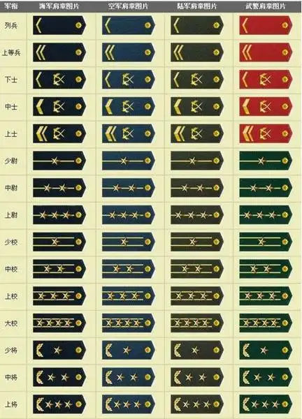 两杠三星是上校军衔,是副师职和正团职军官的主要军衔.