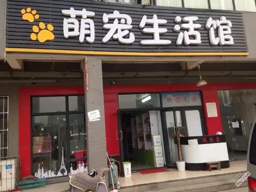 宠物店免费送人了,接手赚钱!