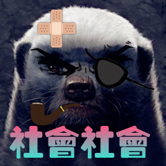 社会社会 - 斗图大会 - 平头哥,萌,动物,社会表情库 - 真正的斗图网站