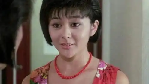 关之琳/刘德华导演:洪金宝3,《夏日福星》1985年8月故事描述国际刑警