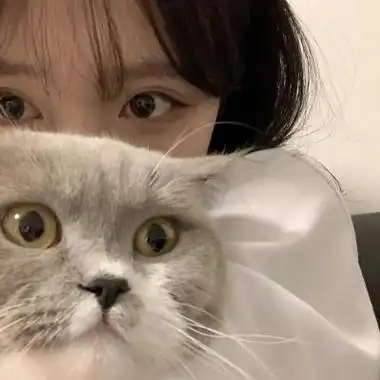 唯美女生头像抱猫 女生头像图片大全 -【爱个性】