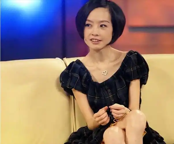 陈鲁豫,一个在中国电视界有着举足轻重地位的名字.