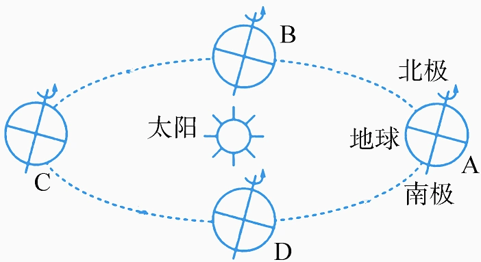 读地球公转(地球位于两分,两至位置)示意图,回答下列问题