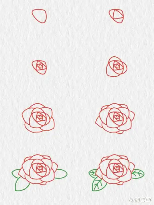 玫瑰花简笔画保姆级教程
