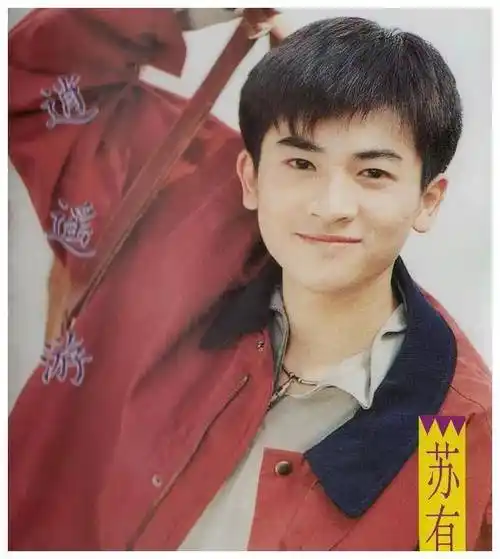 苏有朋:颜值与演技双担当,单身贵族模式展现魅力