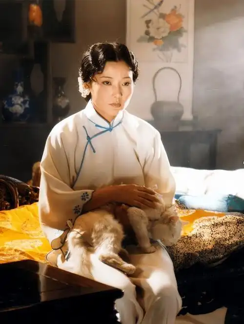 在《大宅门》同演白景琦的妻妾,对比茹萍谢兰雷娟,差距就出来了