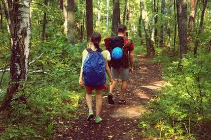森林里的两个徒步旅行者.运动的男人和女人背着背包在路上行走照片