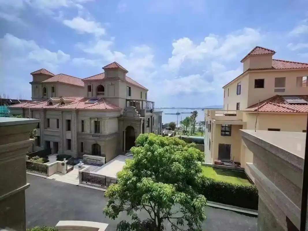 超级豪华临江大别墅