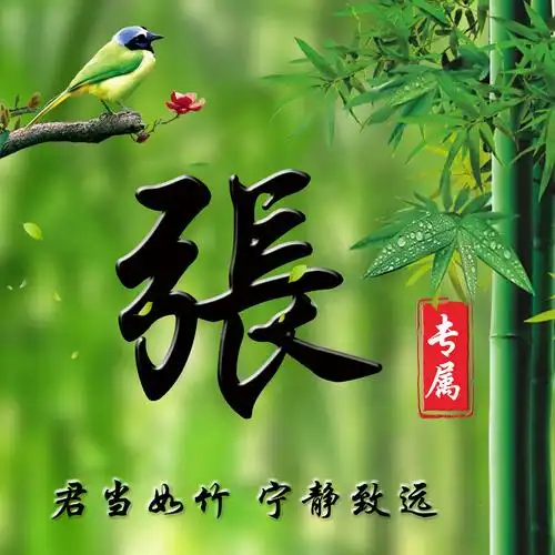 编号2326免费姓氏微信头像竹报平安宁静致远