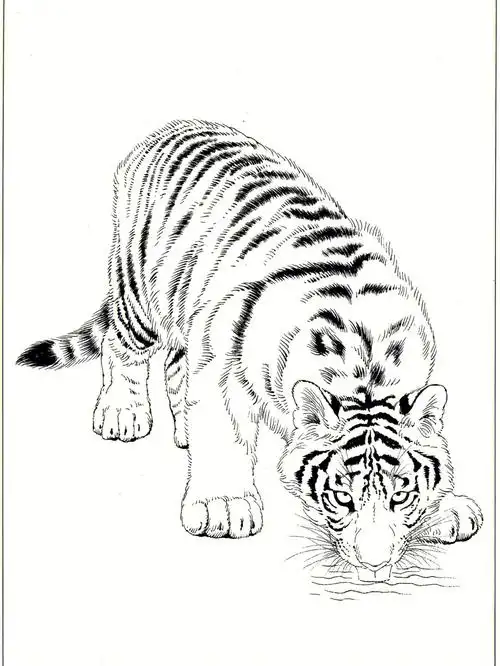 工笔白描动物形态的皮雕皮塑手绘素材有需要的可以自取#手绘   #绘画