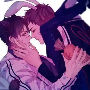 是猫丞丞的兔飞飞呀