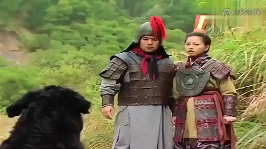 港剧:邓婵玉土行孙求助申公豹,申公豹前来军营找苏护寻仇