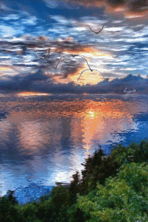 这种乐器的独特音色--"幽深,悲凄,哀婉,绵绵不绝",这种独特的音乐品质