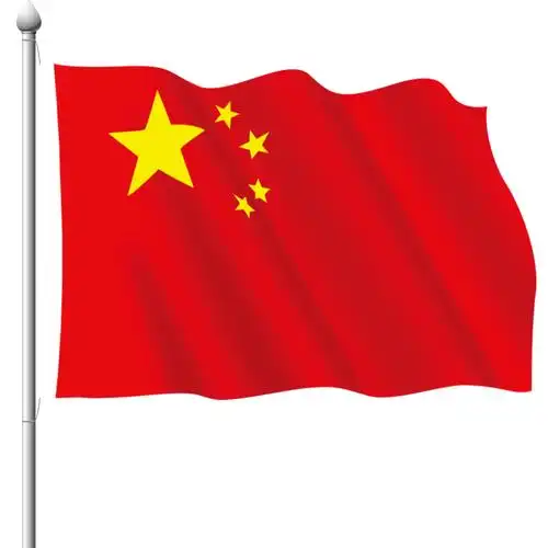 6号中国旗帜公司悬挂式装饰彩旗学校摇旗旗手旗帜