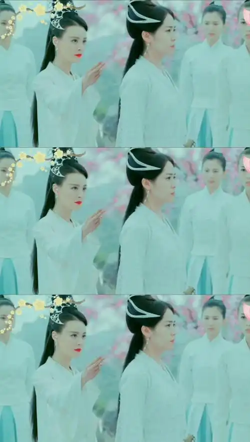 邀月为阻止怜星说出无缺身世,竟要杀死亲妹妹.-度小视