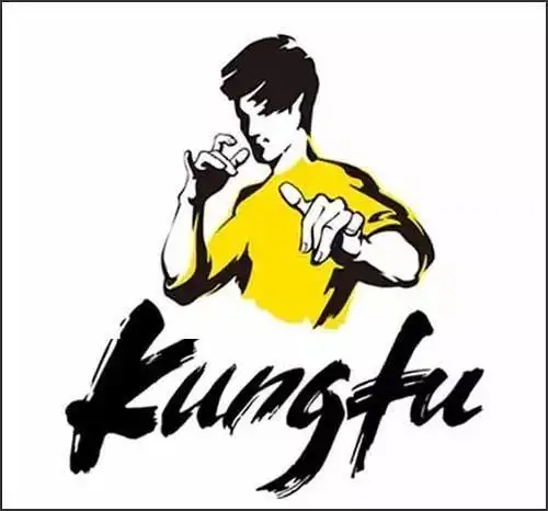 李小龙女儿起诉真功夫,大家觉得像吗?