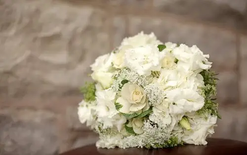 壁纸 白色绣球花,花束 2880x1800 hd 高清壁纸, 图片, 照片