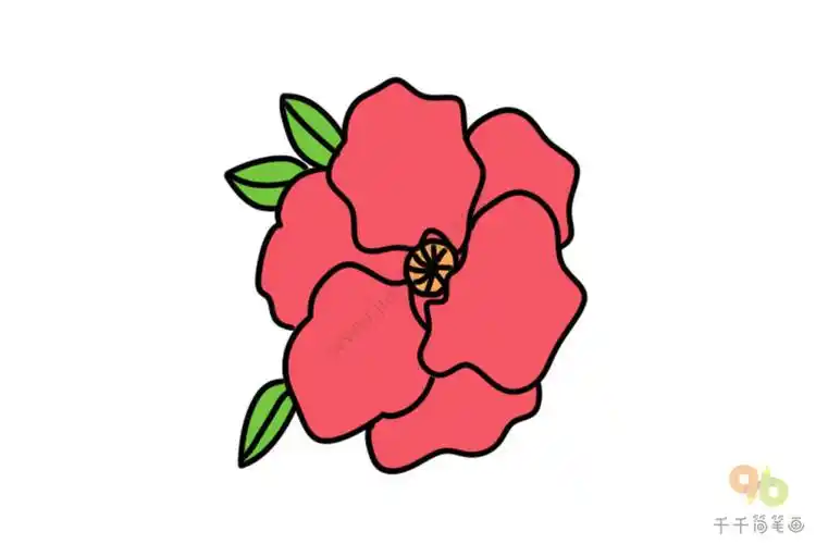 石榴花简笔画图片大全