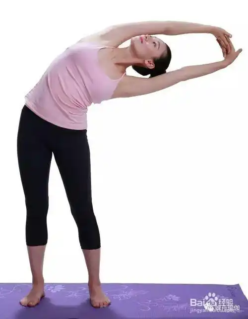 站立体前屈的正确做法