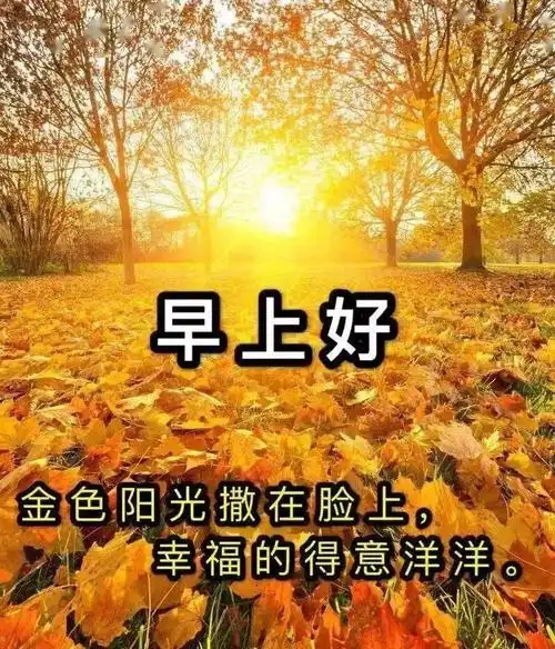 唯美的秋天风景枫叶早上好图片温馨带字漂亮秋天枫叶早安问候图片精选