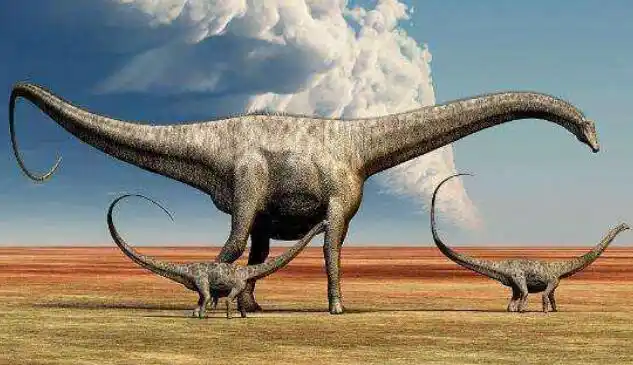 世界上最大的恐龙排名,长70米的易碎双腔龙排第一