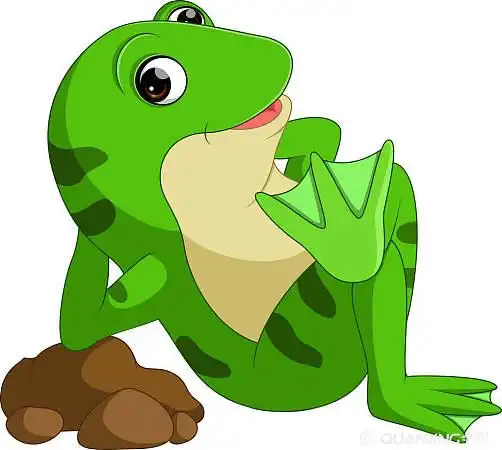 青蛙图片_图片大全