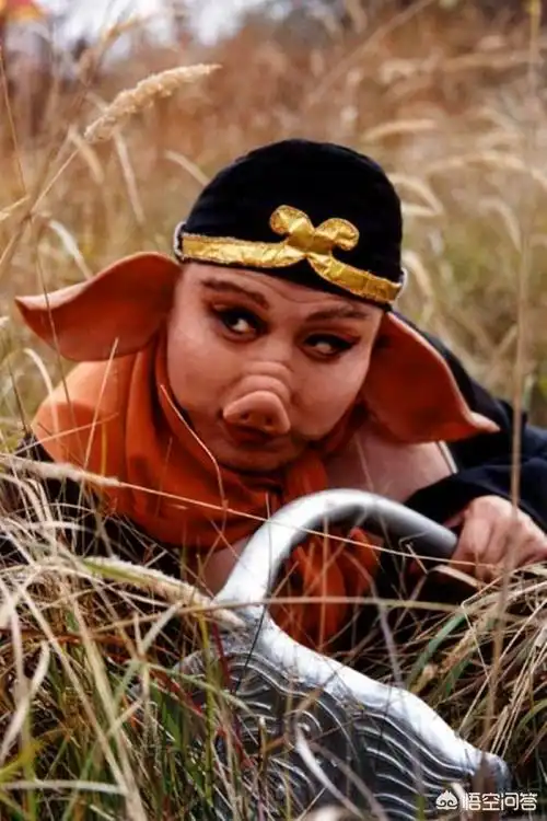 八戒是指哪八戒,猪八戒指的是哪"八戒"?