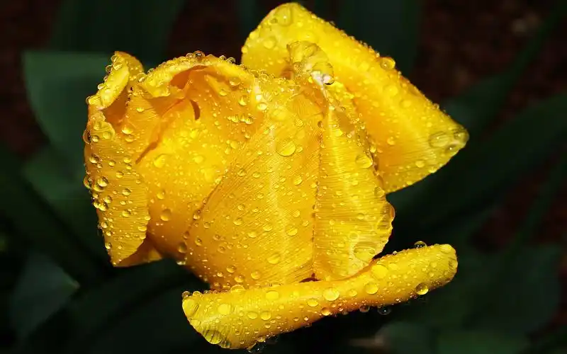 高清图片素材专辑一(20p)[photoshop资源网|ps教程|psd模板|照片处理