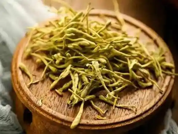 金银花除了能泡水,还有3种健康吃法_的作用_被誉为_功效