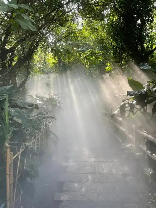 厦门万石植物园非常值得