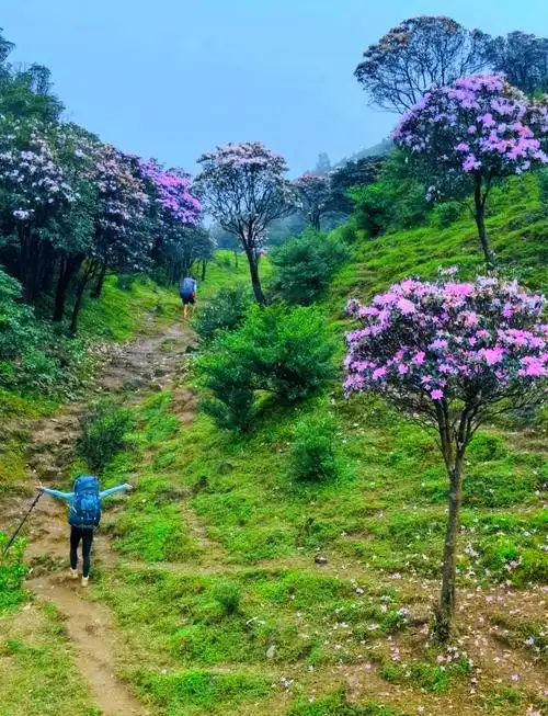 94阳春必游十大景点推荐94