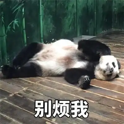 大熊猫表情包套图兽人永不为奴