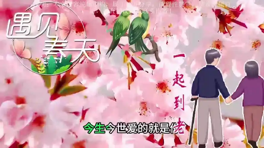 前世的约定,今生的相遇