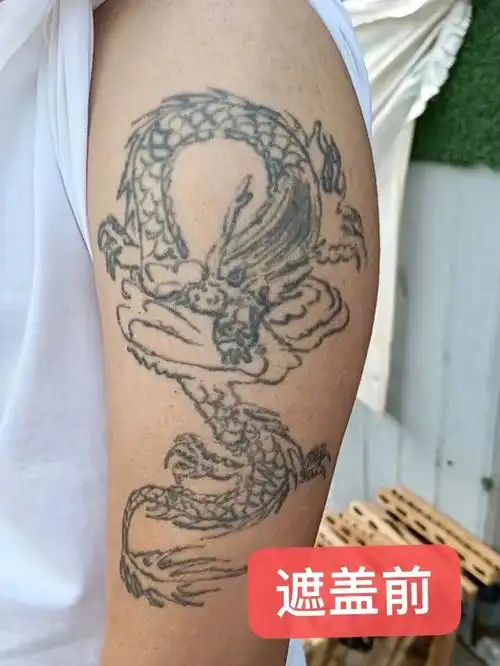 大臂重彩鲤鱼遮盖十年前的老图