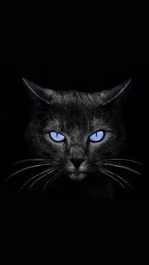 抖音中火爆的手机锁屏壁纸,可做快闪视频背景图哦!