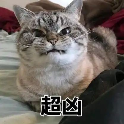 超凶(猫咪) - 超凶表情包合集