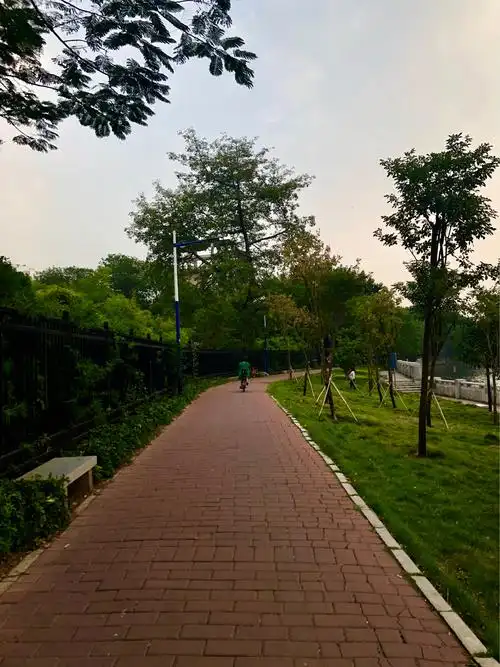 广东省广州市荔湾区增埗公园!位于南京路小区附近.