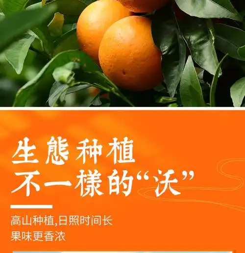 寻味君 广西武鸣沃柑 新鲜水果柑橘子桔子 严选3斤 精美礼盒装【净重8