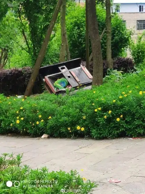 安顺一公园内不少小孩随地大小便
