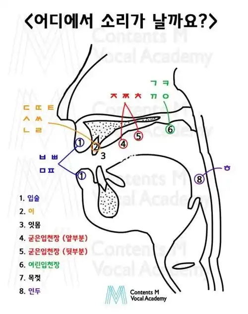 韩语发音器官图