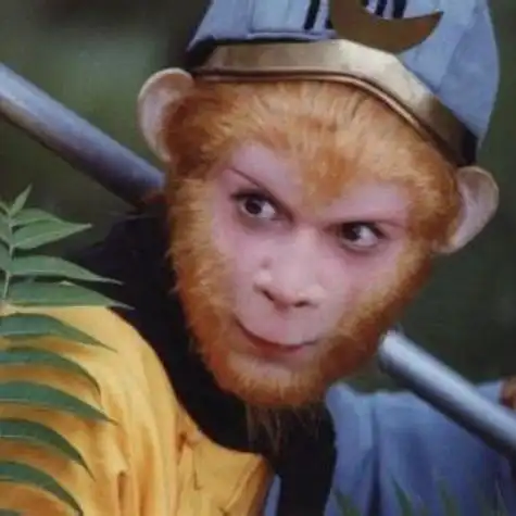 西游记经典孙悟空头像图片