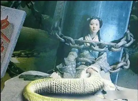 绰号:蛇女,灵儿 (点此看大图)   不过与其说像灵儿,也有玩家