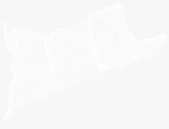 白色漂亮渔网免抠素材免费下载_觅元素51yuansu.com