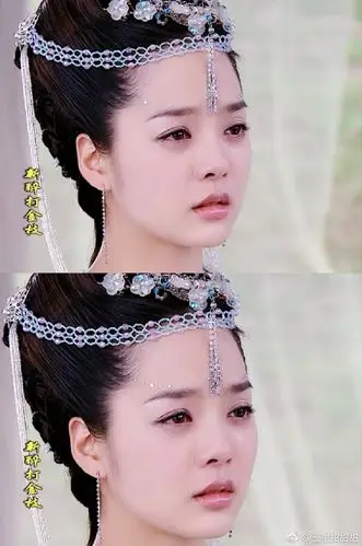 新醉打金枝,升平公主,蔡琳